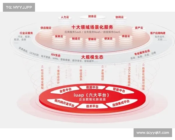 金蝶崛起:用友如何应对市场竞争新格局 金蝶崛起:用友如何应对市场竞争新格局